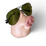 Porte-lunettes en forme de cochon